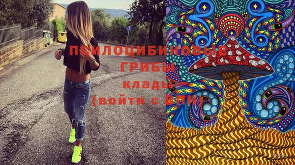 мескалин Кинешма
